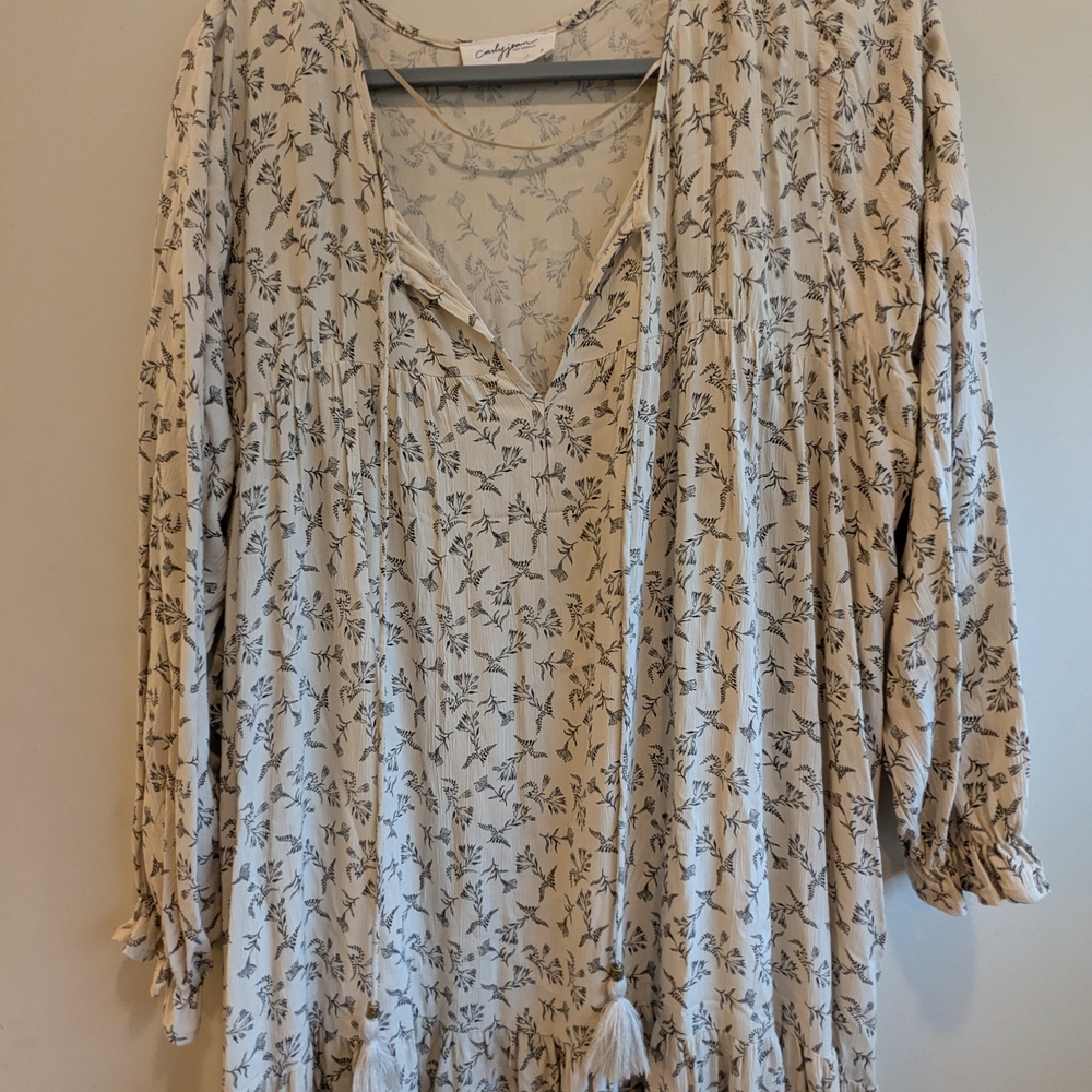Carly Jean Los Angeles Cream and Black Floral Maxi Dress